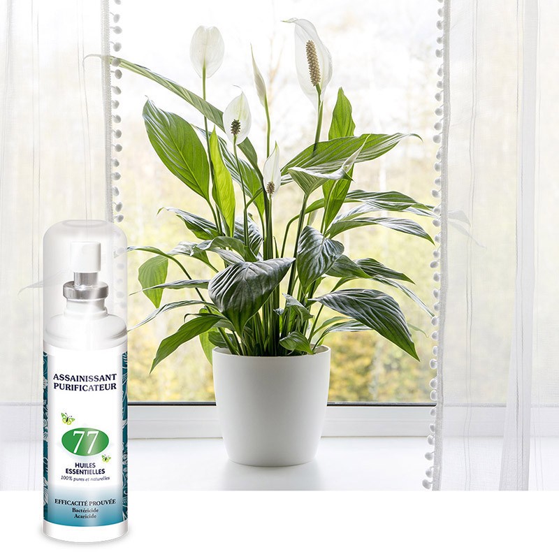 Ambiance Mist with 77 Nutriexpert Essential Oils Ambiance Mist with 77 Nutriexpert Essential Oils