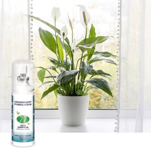 Ambiance Mist with 77 Nutriexpert Essential Oils Ambiance Mist with 77 Nutriexpert Essential Oils