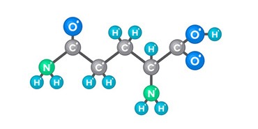 La glutamine