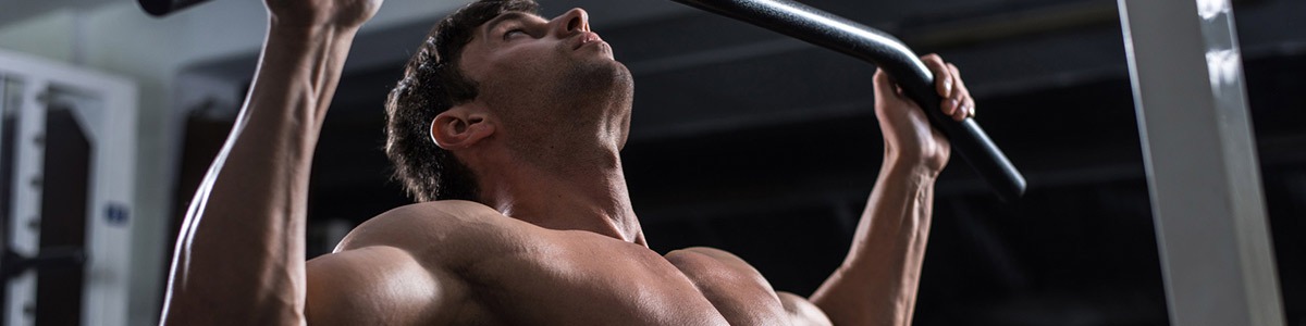 Musculation