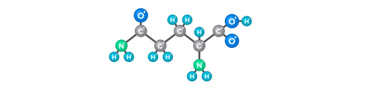 La glutamine