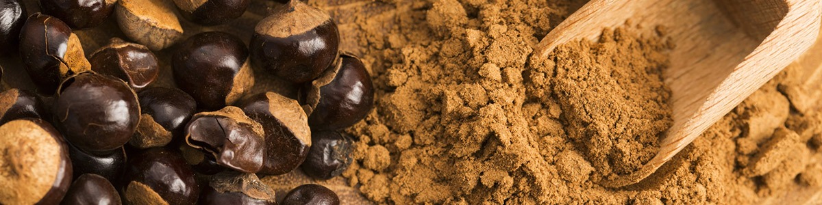 Guarana et musculation