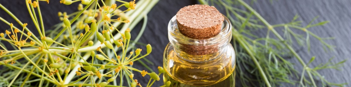 Comment les compléments alimentaires peuvent favoriser un programme minceur ?