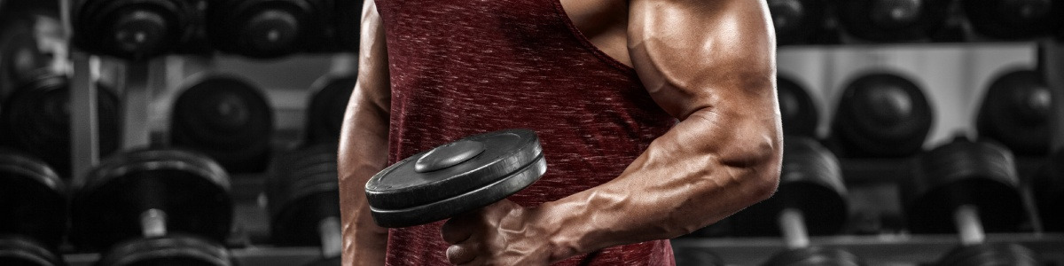 Créatine et masse musculaire