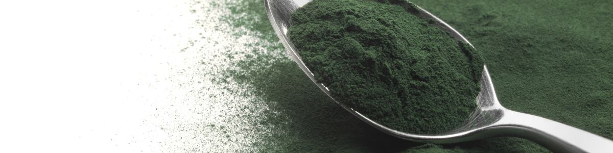 Zoom sur la micronutrition