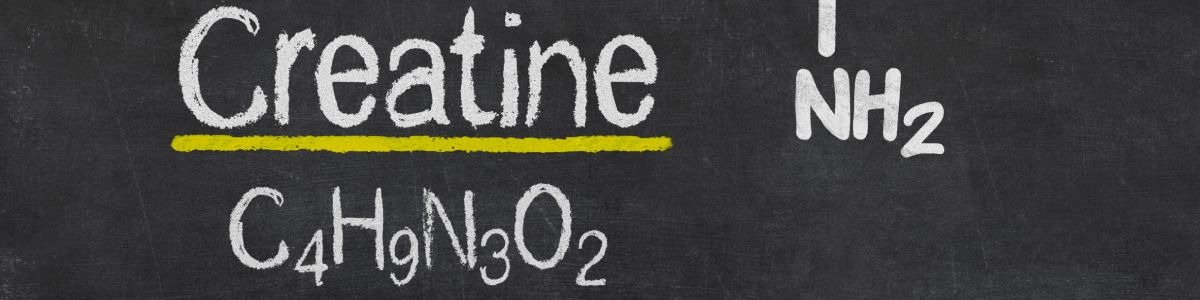 L'intérêt de la créatine pour les sportifs